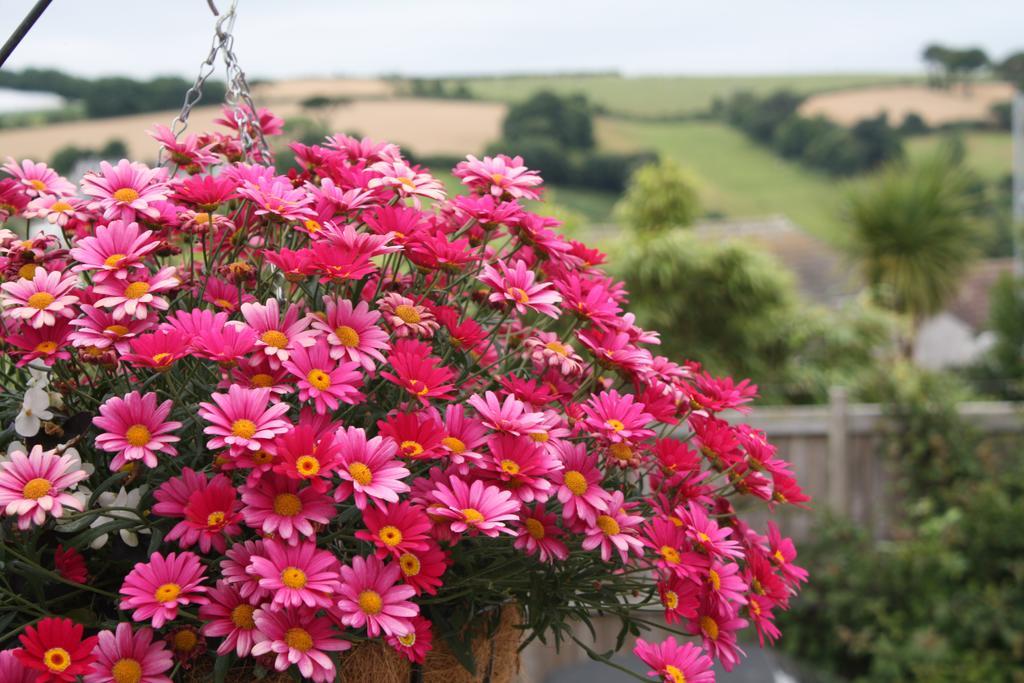 Linton Luxury Holiday Home Mevagissey Dış mekan fotoğraf