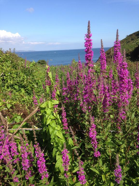 Linton Luxury Holiday Home Mevagissey Dış mekan fotoğraf